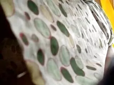 ചെറുതായി ടാൻ ചെയ്ത ബ്രൂണറ്റ് കോഴിയെ മുലകുടിക്കുന്നു
