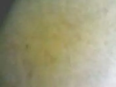 പ്രായമായ ചുവന്ന തലയ്ക്ക് കോഴി ആഹാരം ലഭിക്കുന്നു