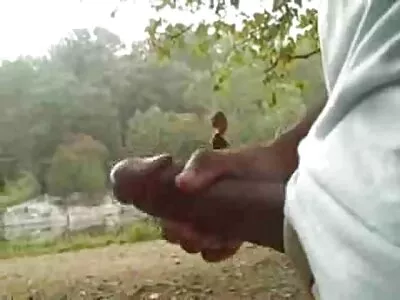 വിചിത്രമായ ചുവന്ന തല രണ്ട് കോഴികൾ കൊണ്ട് അത് ലഭിക്കുന്നു